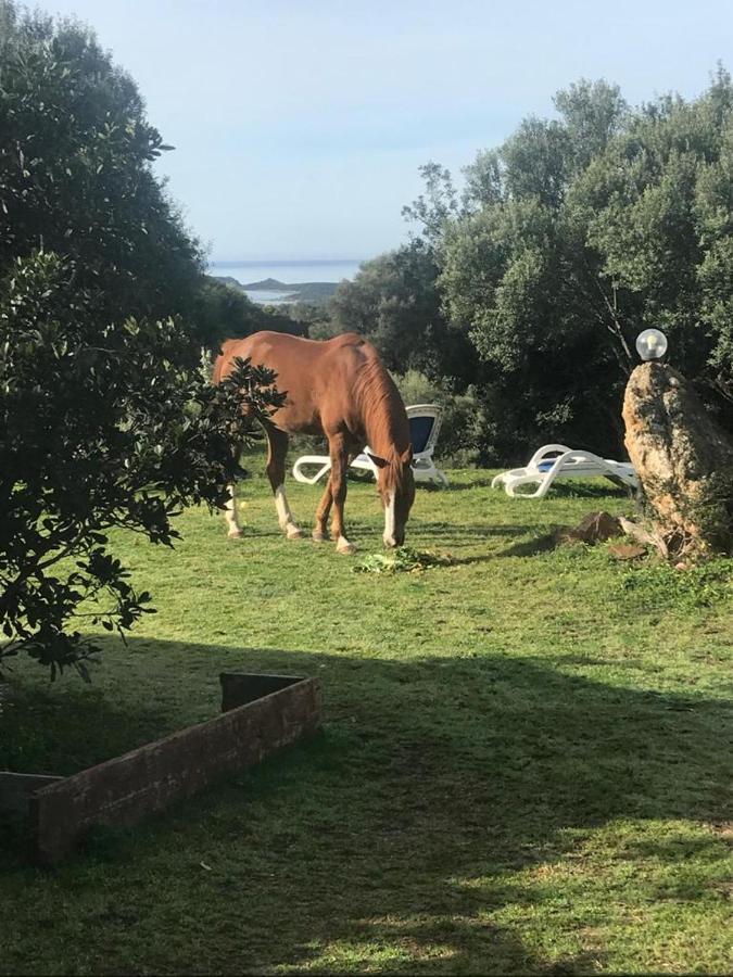 Amalfatah Hotell Teulada Exteriör bild